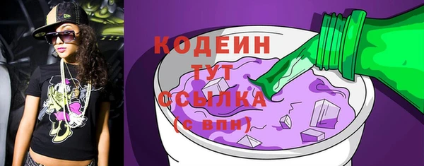 шишки Горно-Алтайск