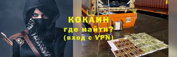 шишки Горно-Алтайск
