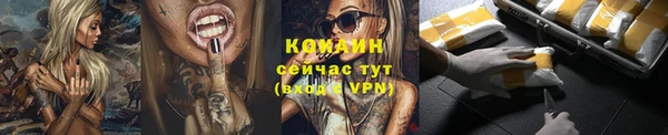 шишки Горно-Алтайск