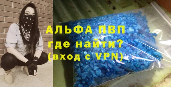 шишки Горно-Алтайск