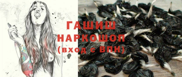 шишки Горно-Алтайск