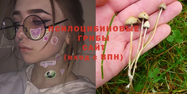шишки Горно-Алтайск