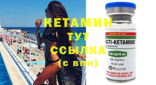 шишки Горно-Алтайск