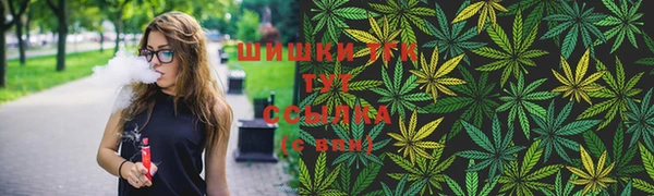 шишки Горно-Алтайск