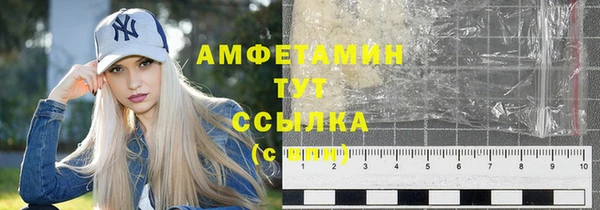 шишки Горно-Алтайск