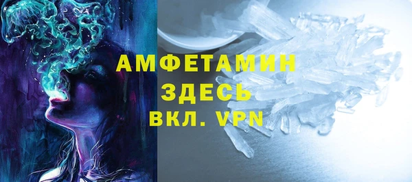 шишки Горно-Алтайск