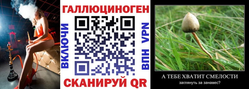 Купить закладки  Котлас  Галлюциногенные грибы Psilocybine cubensis 